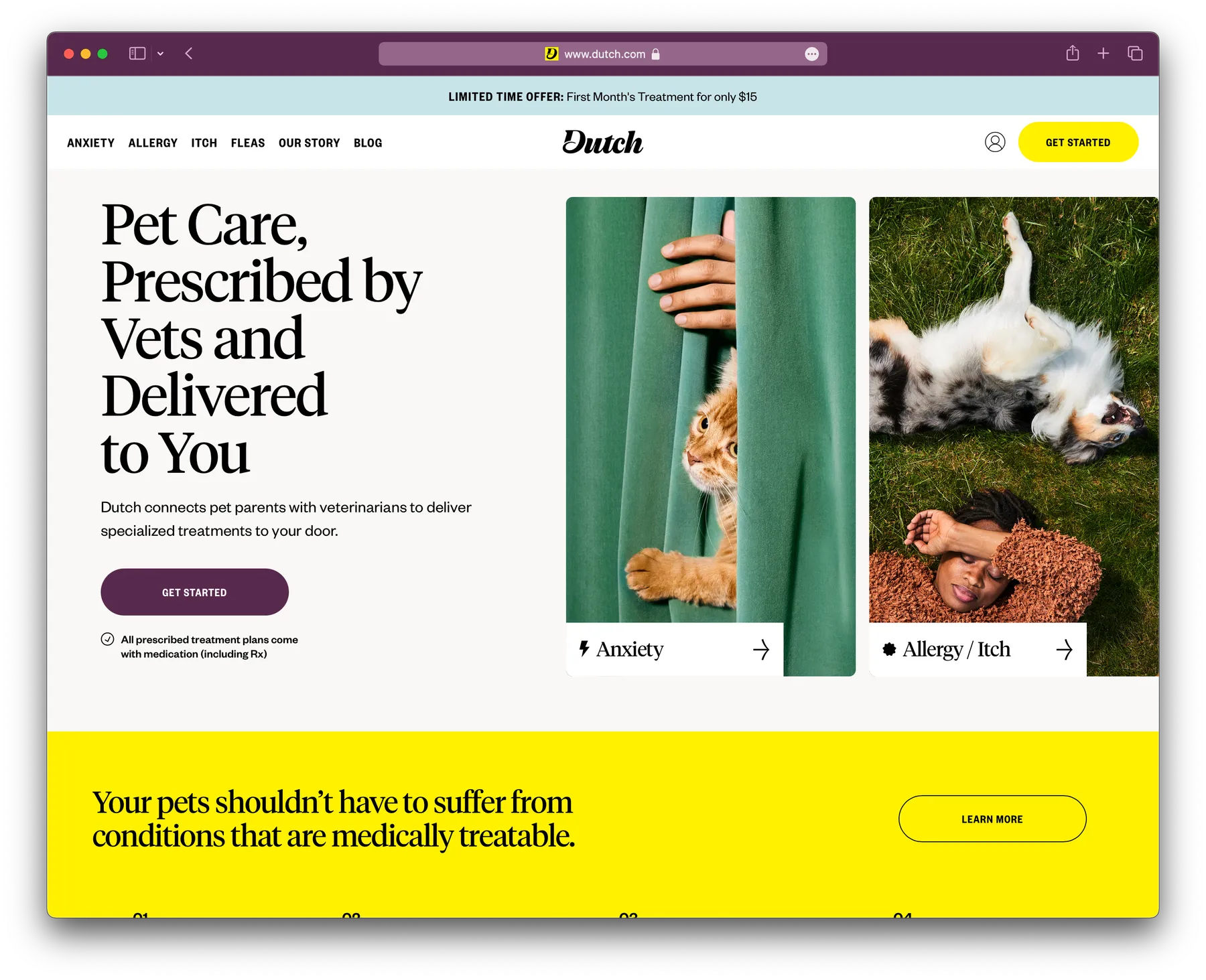 Dutch website desktop screenshot