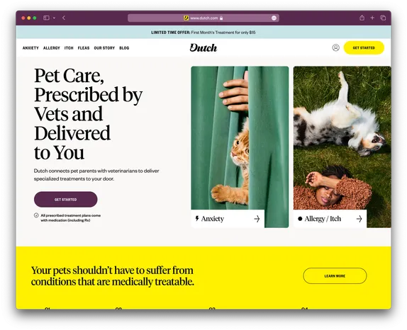 Dutch website desktop screenshot